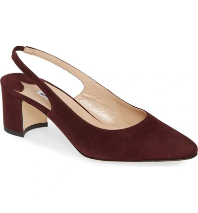 Manolo Blahnik Allurasa Slingback Pump In Burgundy Suede