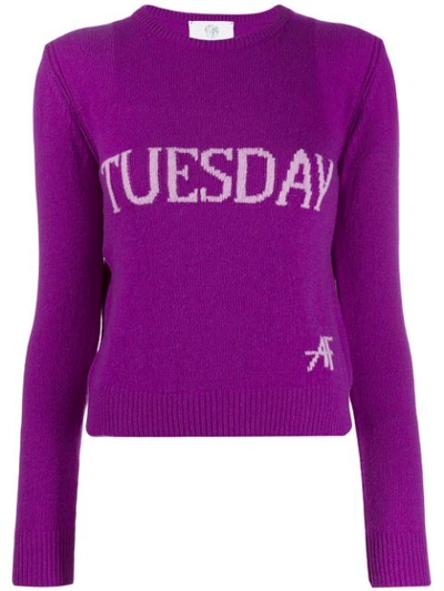 Alberta Ferretti Tuesday Intarsia Jumper In Purple