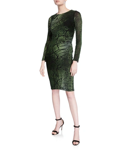 Fuzzi Python-printed Long-sleeve Fitted Velvet Dress In Green