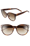 Saint Laurent Women's Cat Eye Sunglasses, 57mm In Havana/ Brown Gradient