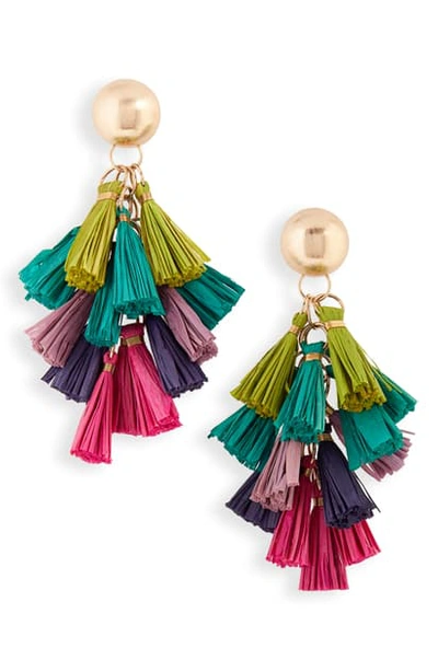 Akola Raffia Tassel Cluster Drop Earrings In Multi