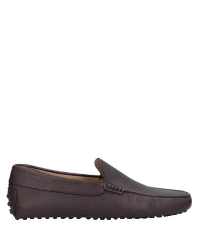 Tod's Loafers In Brown