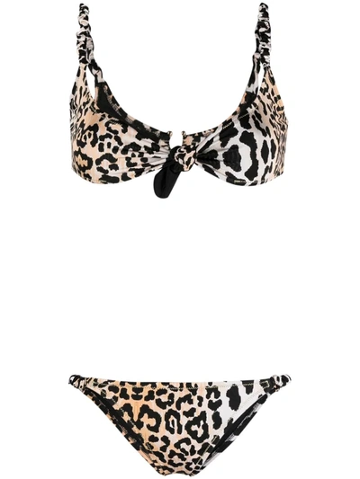 Reina Olga Luca Leopard-print Bikini Set In Black