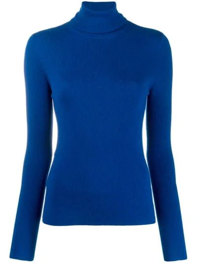 Mcq By Alexander Mcqueen Roll-neck Fitted Sweater In Blue