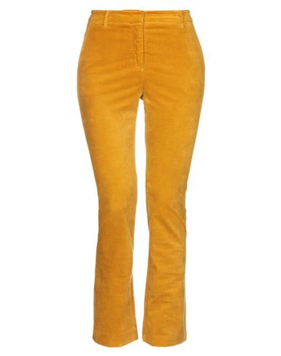 True Royal Pants In Ocher