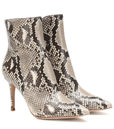 Gianvito Rossi Levy 85 Python Leather Ankle Boots In Grey