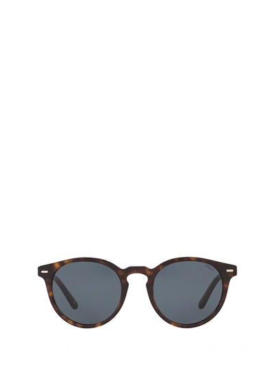 Polo Ralph Lauren Ph4151 Shiny Dark Havana Unisex Sunglasses - Atterley In Dark Havana/grey/blue