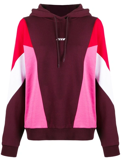 Msgm Colour-block Hooded Cotton Sweatshirt In Burgundy