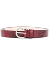 Isabel Marant Zap Snake Embossed Leather Belt In Raspberry