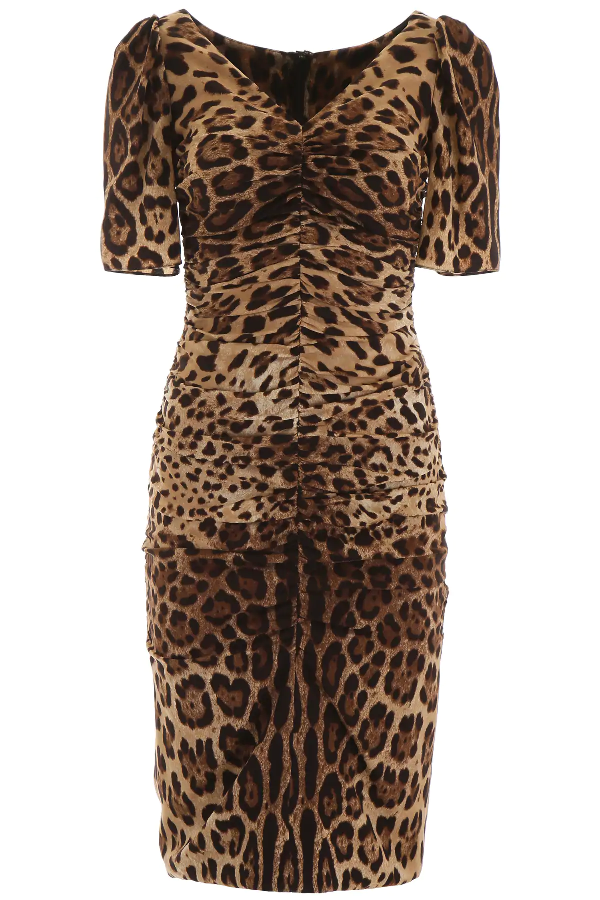 dolce & gabbana leopard dresses