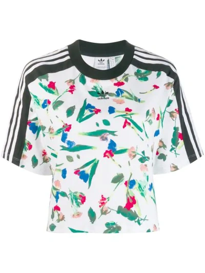 Adidas Originals Cropped Allover Print T-shirt In Multy