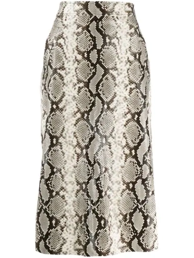 Dsquared2 Python Print Midi Skirt In Neutrals