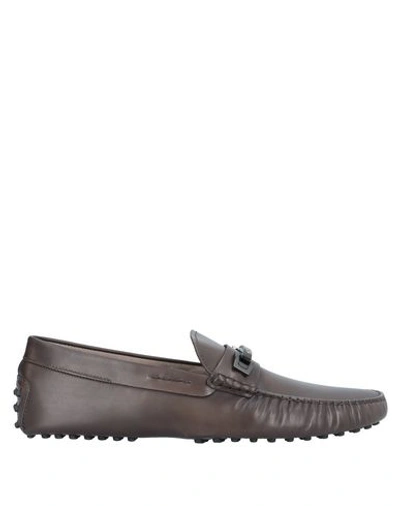 Tod's Loafers In Cocoa