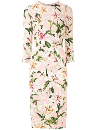 Dolce & Gabbana Cady Lily-print Midi Dress In Pink Lily