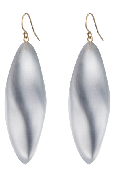 Alexis Bittar Long Leaf-inspired Lucite Drop Earrings In Silver