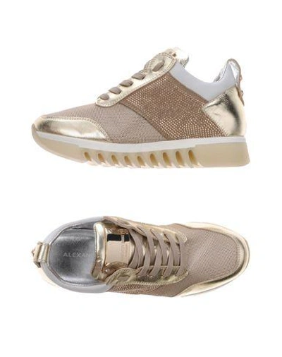 Alexander Smith Sneakers In Gold