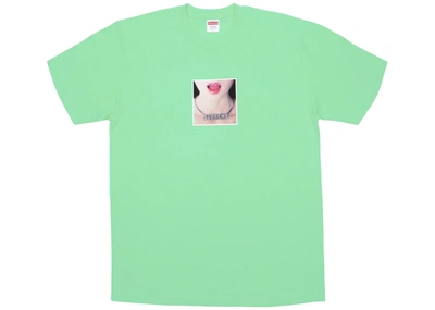 Pre-owned Supreme  Necklace Tee Mint