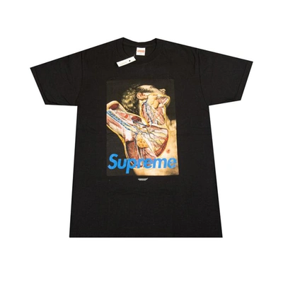 Pre-owned Supreme Undercover Anatomy Tee Black | ModeSens