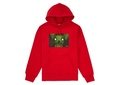 Pre-owned Supreme  Chris Cunningham Chihuahua Hooded Sweatshirt Red