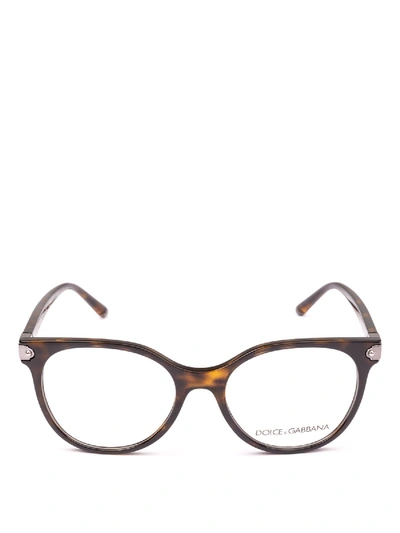 Dolce & Gabbana Havana Butterfly Optical Glasses In Brown