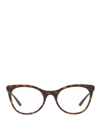 Dolce & Gabbana Tortoise Acetate Pantos Optical Glasses In Brown