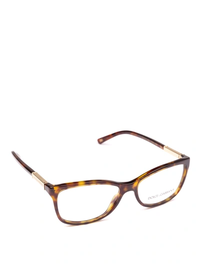 Dolce & Gabbana Logo Plaque Detailed Tortoise Optical Glasses In Brown