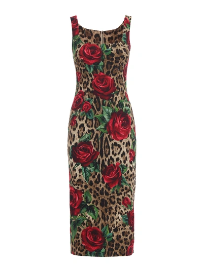 Dolce & Gabbana Animal Print And Rose Viscose Pencil Dress