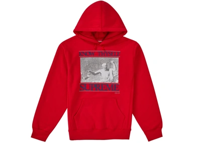 supreme celebre hoodie｜TikTok Search