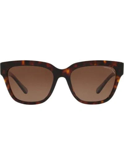 Coach Horse & Carriage Sunglasses In Brown