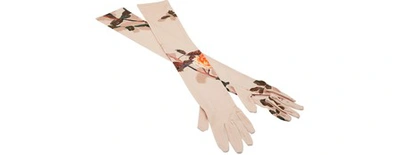 Dries Van Noten Long Printed Gloves In Skin