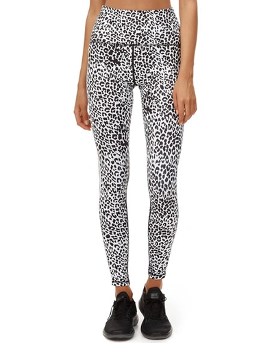 All Fenix Track-stripe Leopard Print Leggings In Black/white