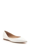 Botkier Annika Pointed Toe Flat In Coconut Leather