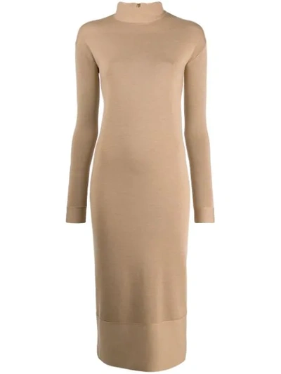 Agnona Fitted Sweater Dress In Brown
