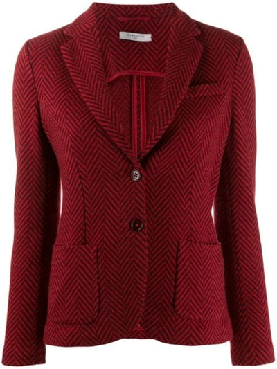 Circolo 1901 Classic Fitted Blazer In Red