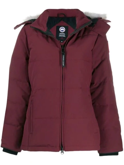 Canada Goose Chelsea Parka In Purple