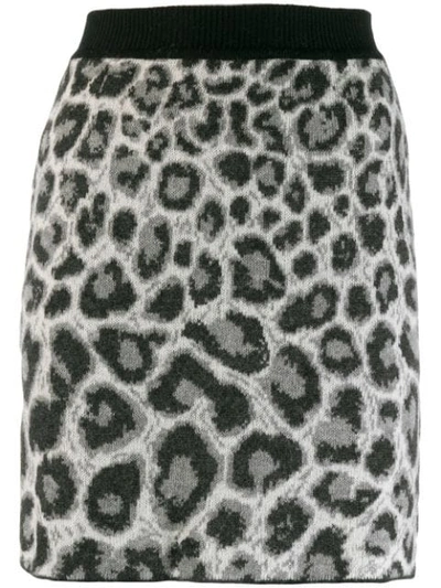 Alberta Ferretti Leopard Print Knit Skirt In Black