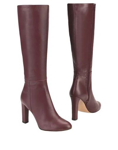 8 By Yoox Boots In Maroon