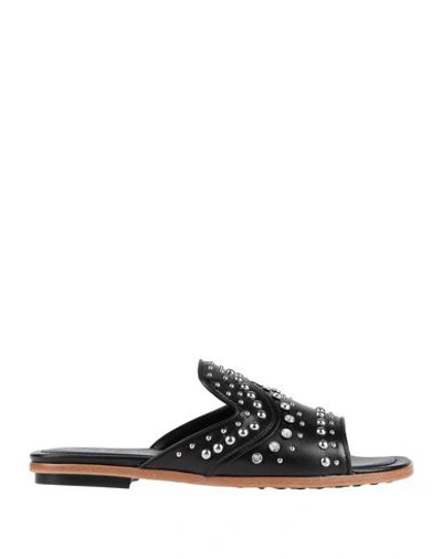 Tod's Sandals In Black