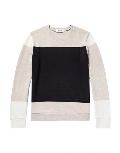 Aloye Sweater In Grey