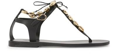 Ancient Greek Sandals Chrysso Gold Sandals In Black