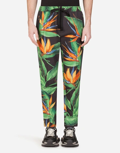 Dolce & Gabbana Cotton Jogging Trousers With Bird Of Paradise Print In Multicolored