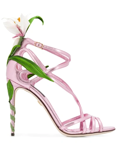 Dolce & Gabbana Mordore Nappa Sandals With Lily Embroidery In Rosa