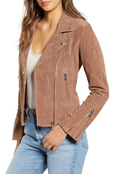 Blanknyc Next Level Suede Moto Jacket In French Taupe