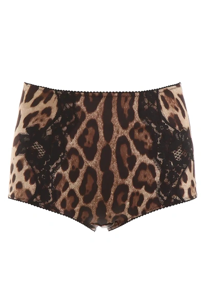 Dolce & Gabbana Leopard-printed Briefs In Brown,black