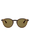 Ray Ban Highstreet 49mm Round Sunglasses In Red Havana/ Brown Solid