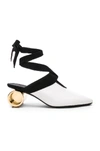 Jw Anderson Suede-trimmed Leather Pumps In White And Black