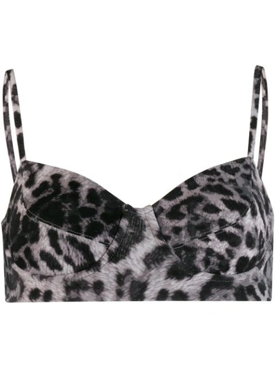 Norma Kamali Leopard-print Underwired Bikini Top In Grey