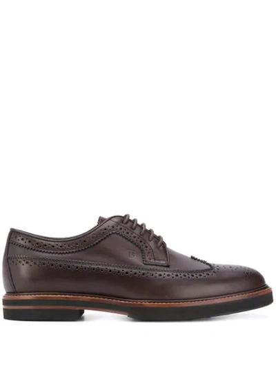 Tod's Perforated Leather Derby Brogues In Brown