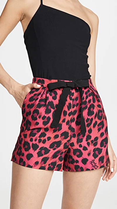Boutique Moschino Fuchsia Leopard-print Shorts In Fantasy Print Fuchsia