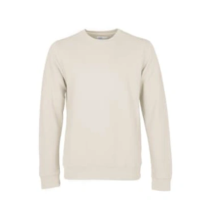 Colorful Standard Organic Classic Crew Sweatshirt In Ivory White